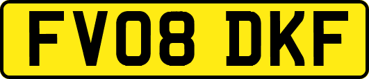FV08DKF
