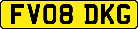 FV08DKG
