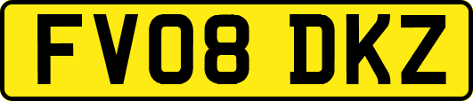 FV08DKZ