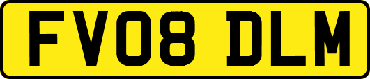 FV08DLM