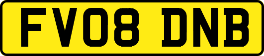 FV08DNB