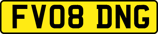 FV08DNG