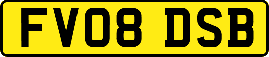 FV08DSB