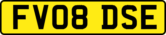 FV08DSE