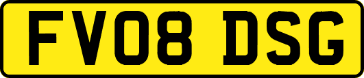 FV08DSG
