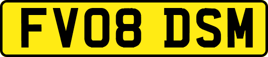 FV08DSM