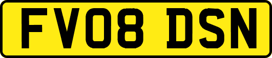 FV08DSN
