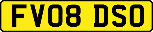 FV08DSO