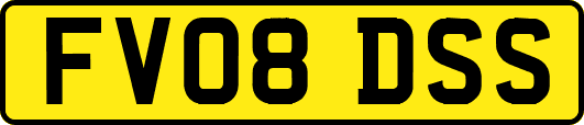 FV08DSS