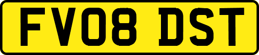 FV08DST