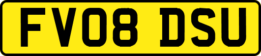 FV08DSU