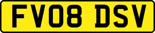FV08DSV