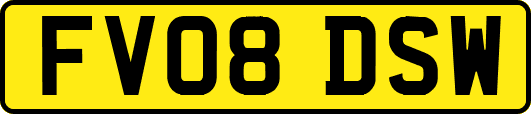 FV08DSW