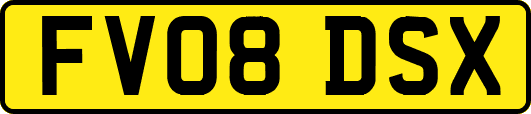FV08DSX