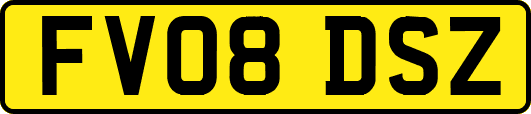 FV08DSZ