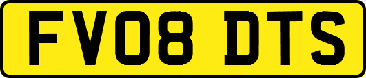 FV08DTS