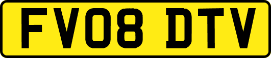 FV08DTV