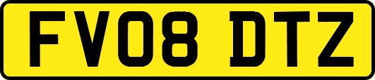 FV08DTZ