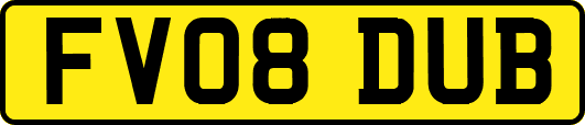 FV08DUB