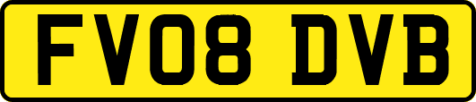 FV08DVB