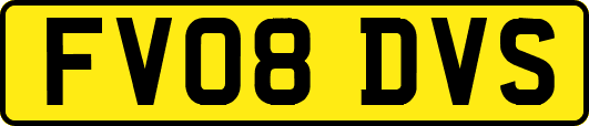 FV08DVS