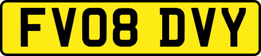 FV08DVY
