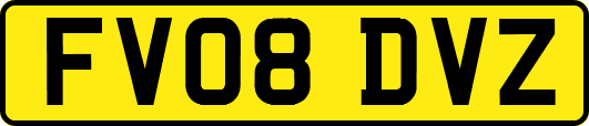 FV08DVZ