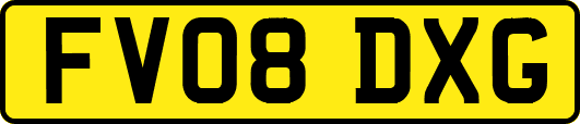 FV08DXG