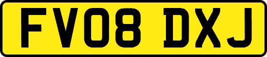 FV08DXJ
