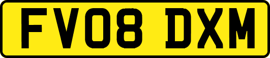FV08DXM
