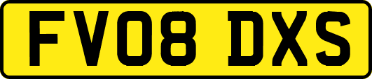 FV08DXS