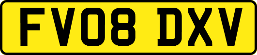 FV08DXV