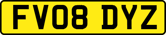 FV08DYZ