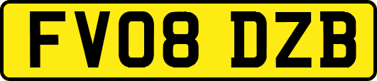 FV08DZB