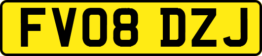 FV08DZJ