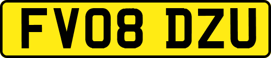 FV08DZU
