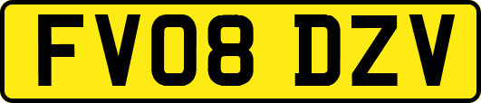 FV08DZV
