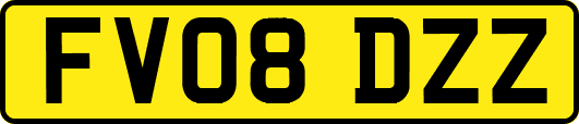 FV08DZZ