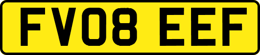 FV08EEF