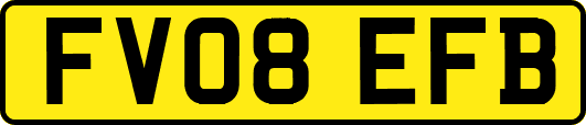 FV08EFB