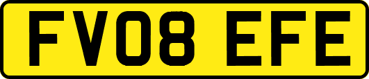FV08EFE