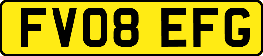 FV08EFG