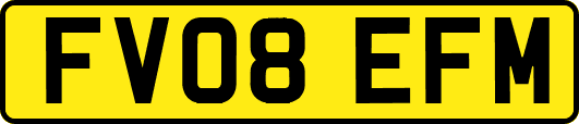 FV08EFM