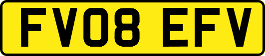 FV08EFV