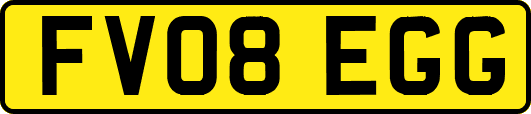 FV08EGG
