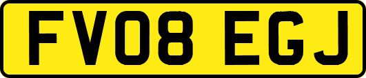 FV08EGJ