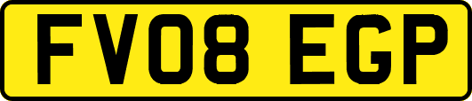 FV08EGP