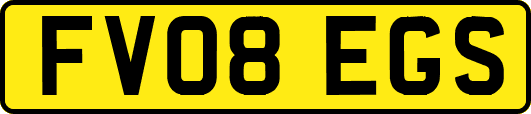 FV08EGS