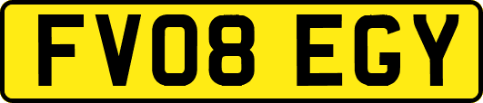 FV08EGY