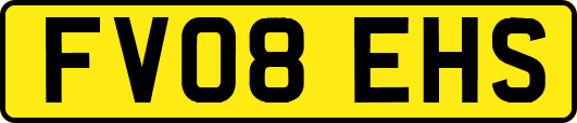 FV08EHS